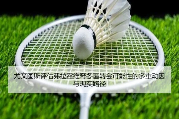 尤文图斯评估弗拉霍维奇冬窗转会可能性的多重动因与现实路径