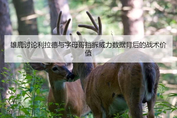 雄鹿讨论利拉德与字母哥挡拆威力数据背后的战术价值
